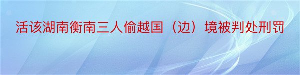 活该湖南衡南三人偷越国（边）境被判处刑罚