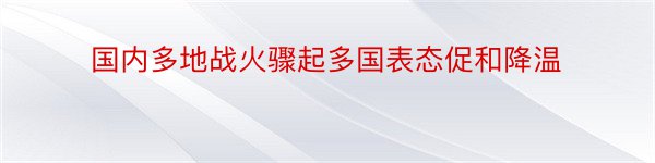 国内多地战火骤起多国表态促和降温